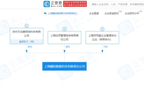 萬店掌投資成立巍焰數據科技 強化信息系統集成服務布局